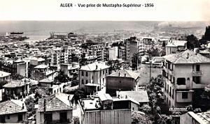 Alger - Vue prise de Mustapha-Superieur - 1956